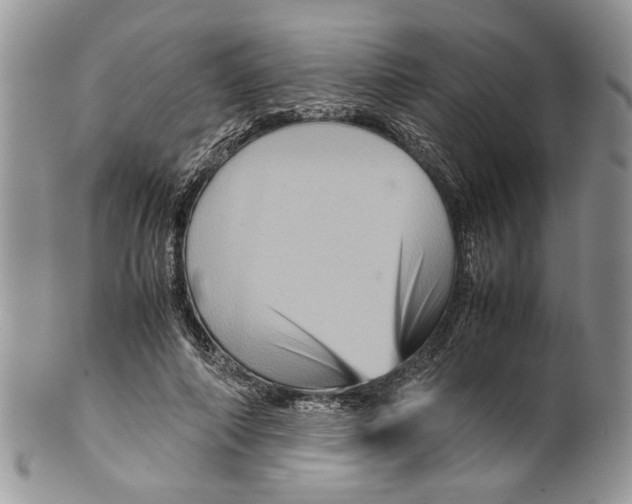 X0000099570690200806131257