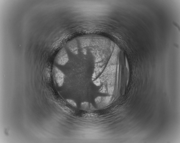 X0000099570691200806131257