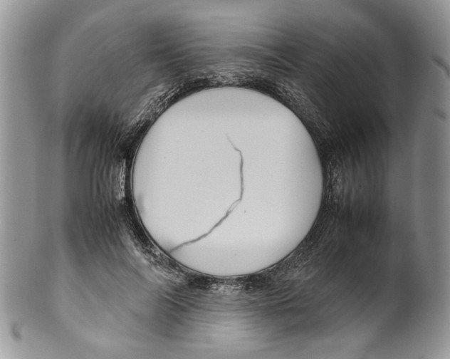 X0000099570694200806131257