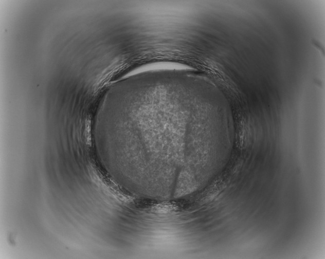 X0000099570696200806131257