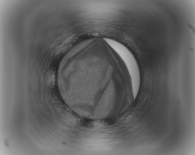 X0000099570697200806131257