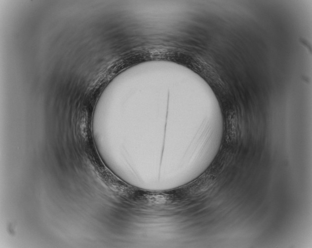 X0000099570698200806131257