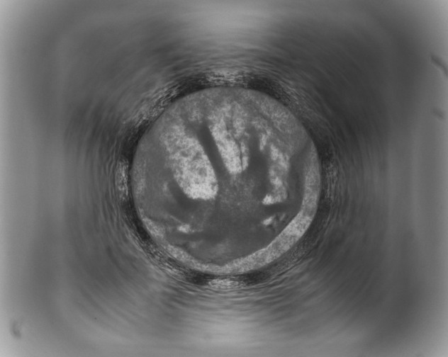 X0000099570699200806131257