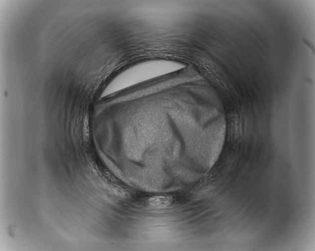 X0000099570700200806131257