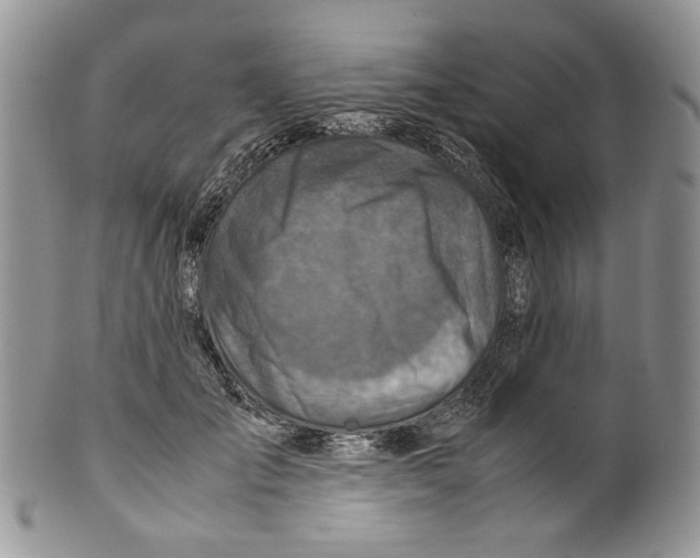 X0000099570701200806131257