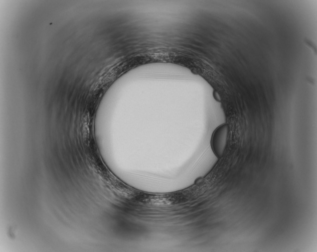 X0000099570702200806131256