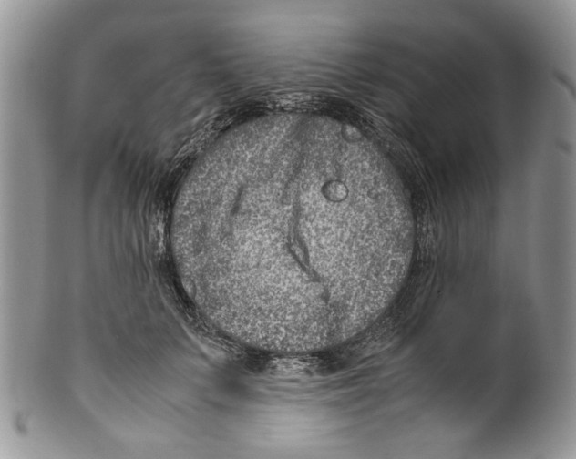 X0000099570703200806131256