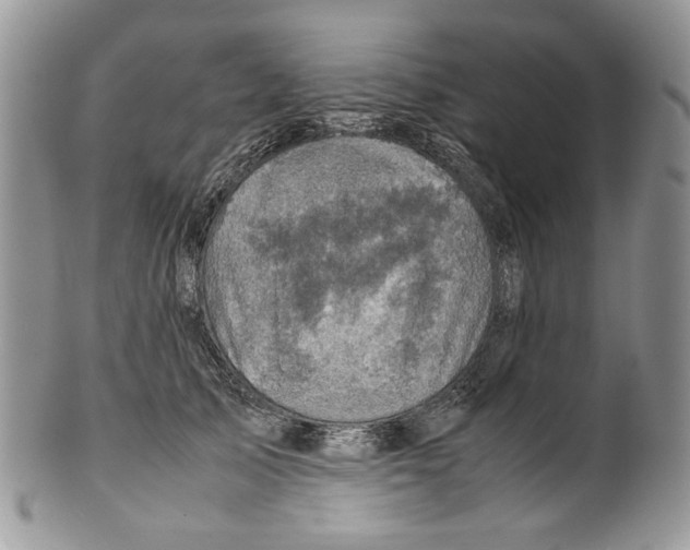 X0000099570705200806131256