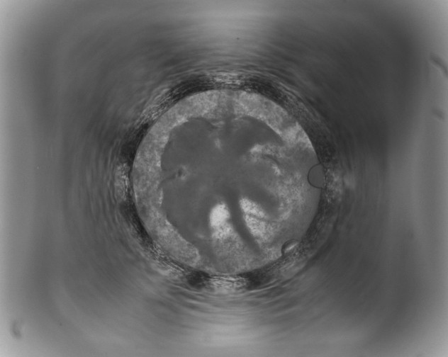 X0000099570707200806131256