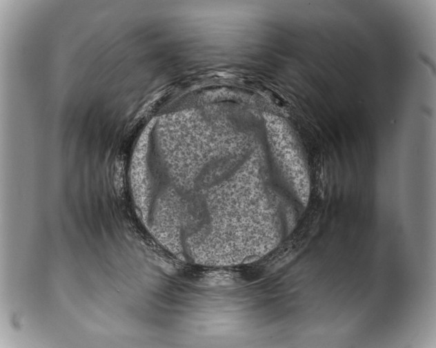X0000099570708200806131256
