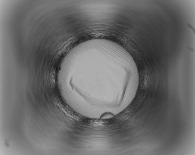 X0000099570710200806131256