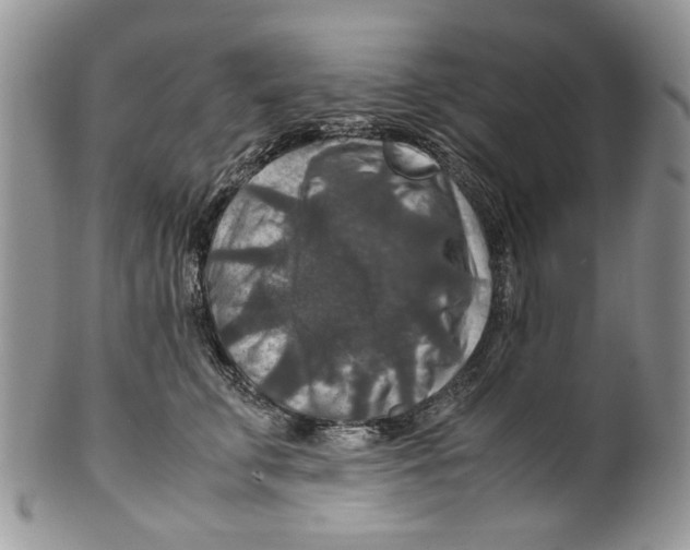 X0000099570711200806131256