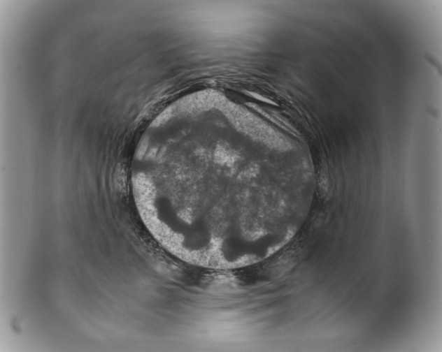 X0000099570715200806131256
