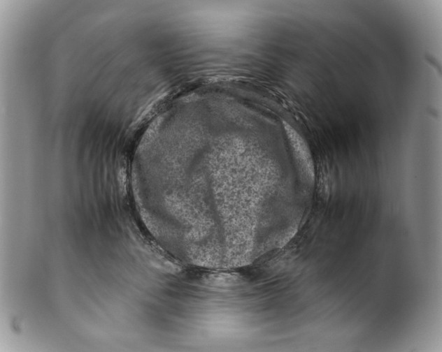 X0000099570716200806131256