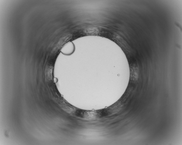 X0000099570717200806131256