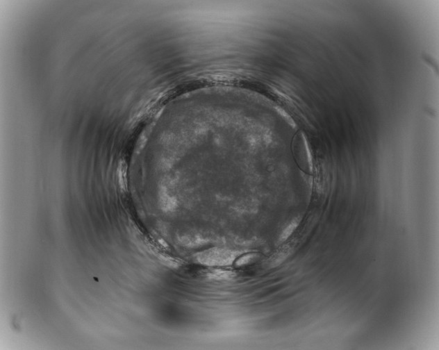 X0000099570718200806131256