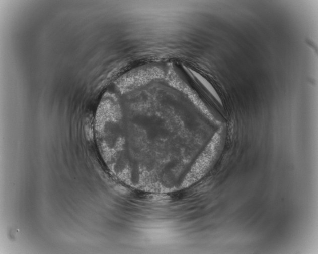 X0000099570719200806131256