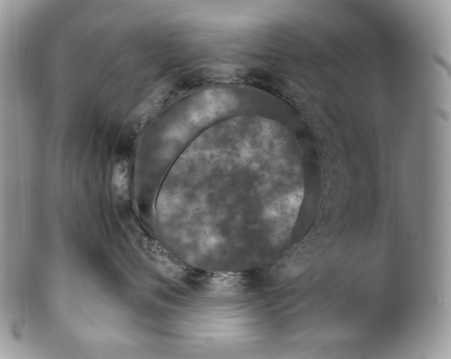 X0000099570720200806131256