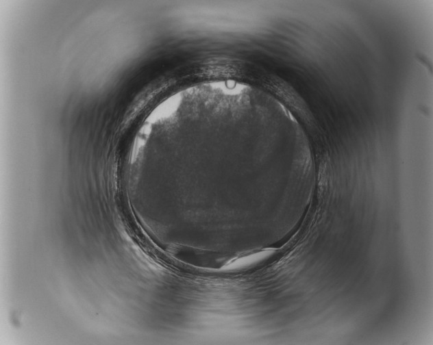 X0000099570722200806131256