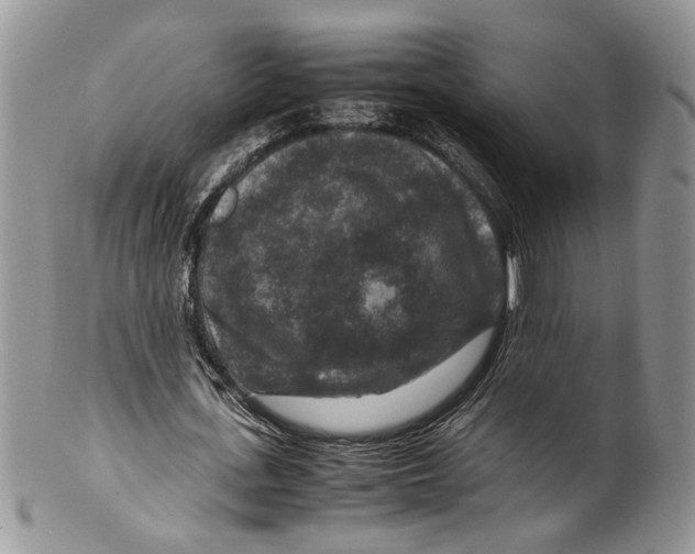 X0000099570723200806131256