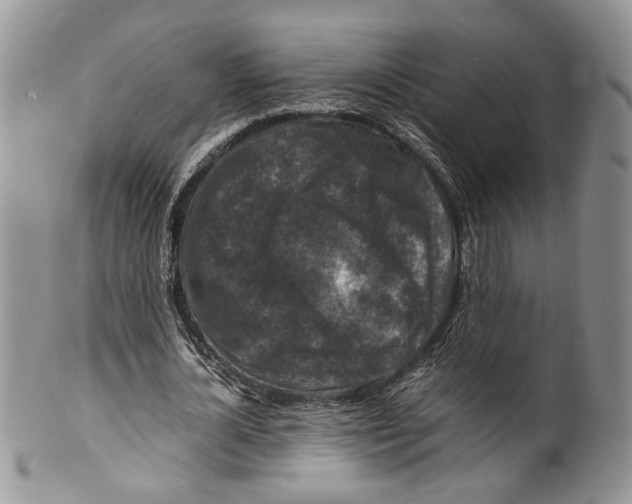 X0000099570724200806131256