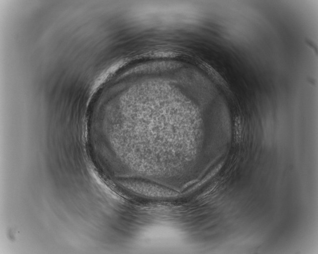 X0000099570726200806131256