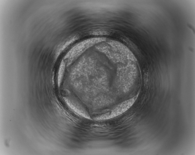 X0000099570727200806131256