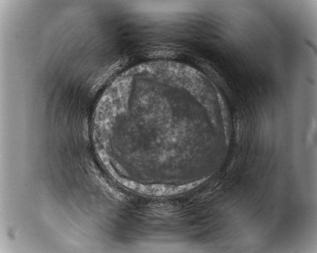 X0000099570729200806131256