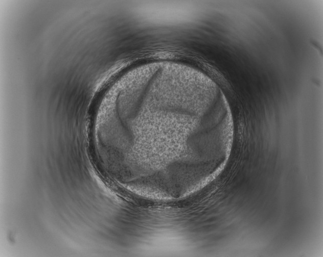 X0000099570730200806131256