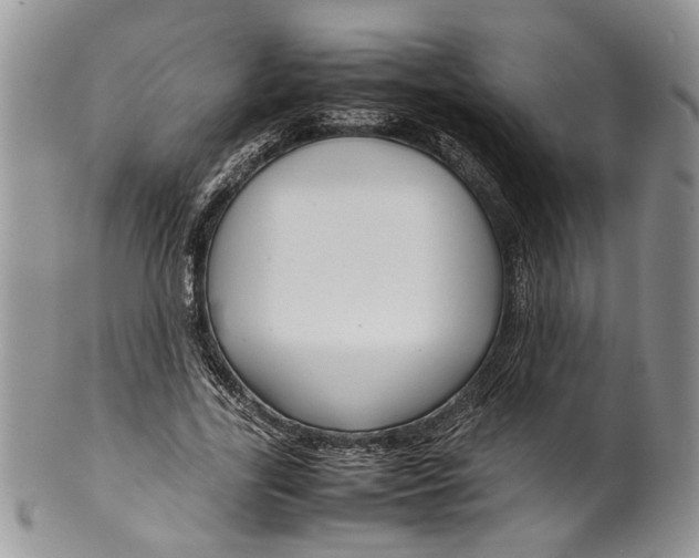 X0000099570731200806131256
