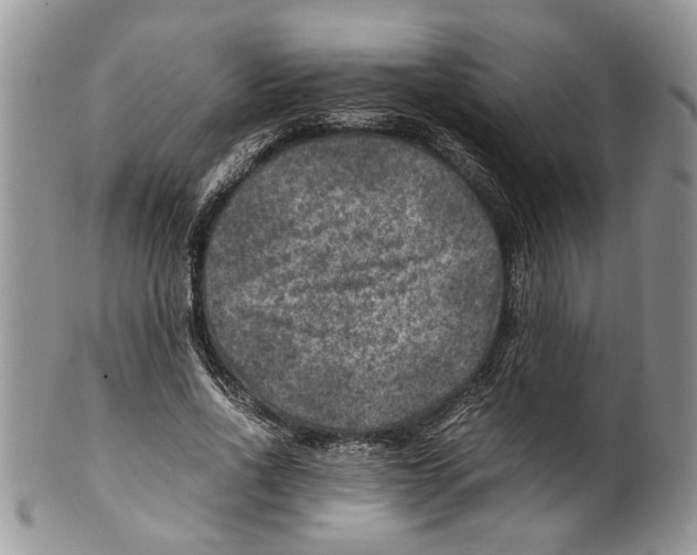 X0000099570734200806131256