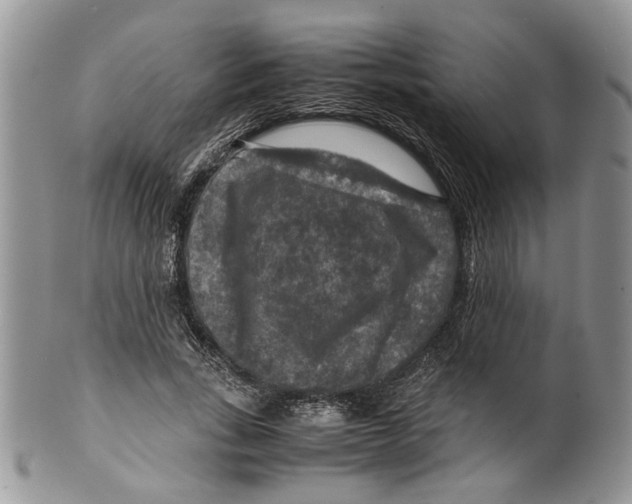 X0000099570735200806131256
