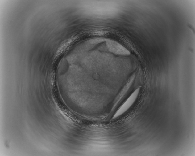 X0000099570736200806131256