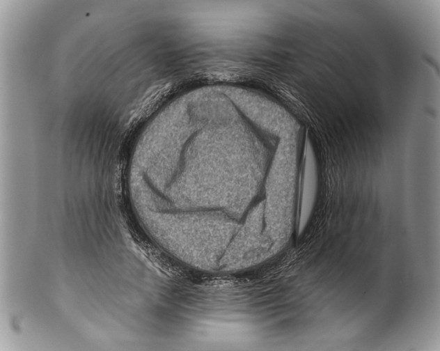 X0000099570738200806131256