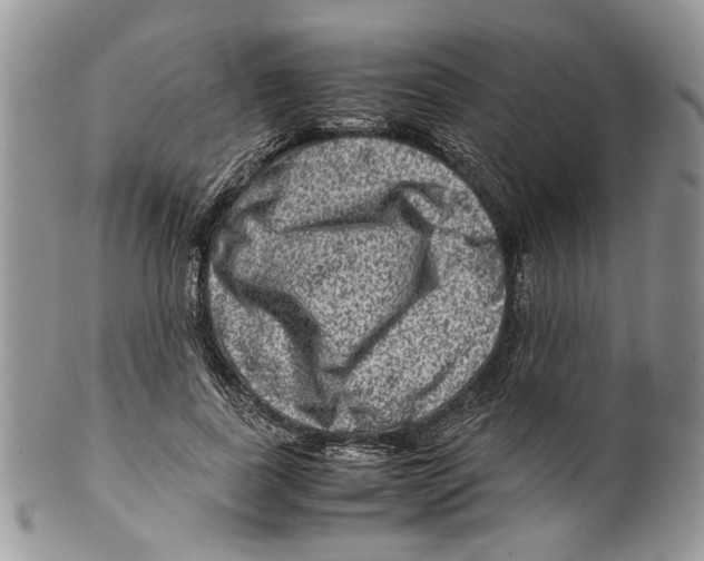 X0000099570739200806131256