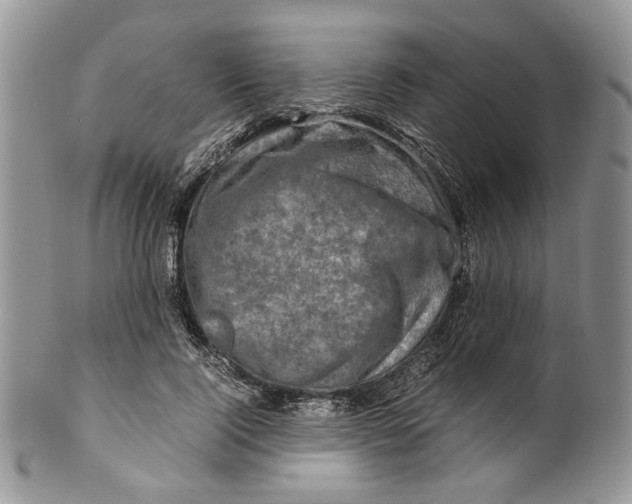 X0000099570740200806131256