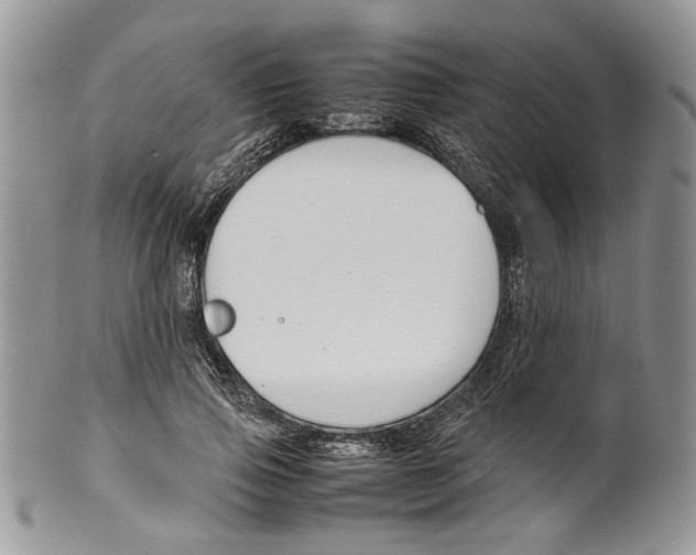 X0000099570741200806131256