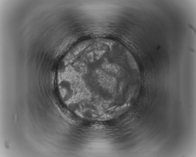 X0000099570742200806131256