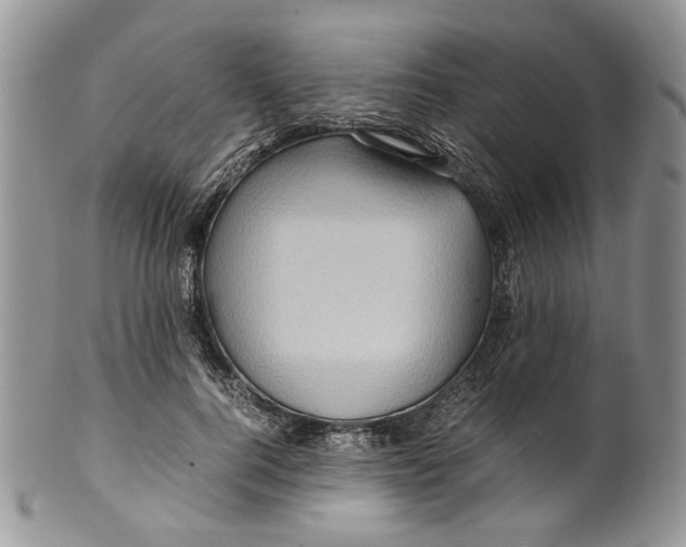 X0000099570744200806131256