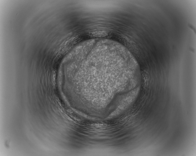 X0000099570745200806131256