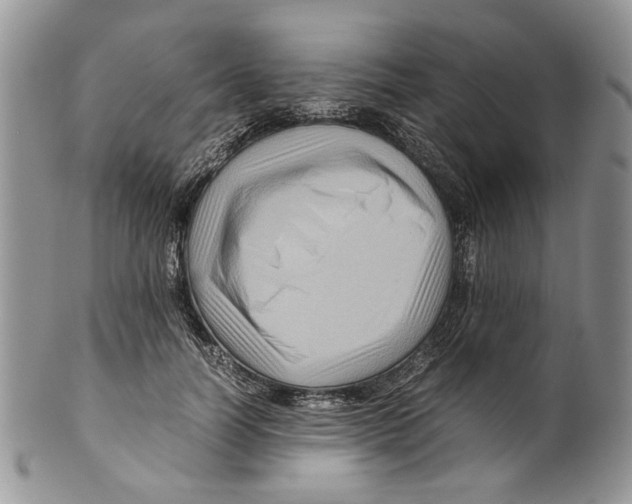 X0000099570746200806131256