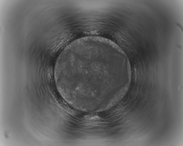 X0000099570747200806131256