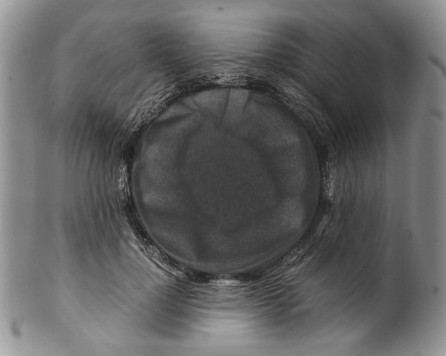 X0000099570748200806131256