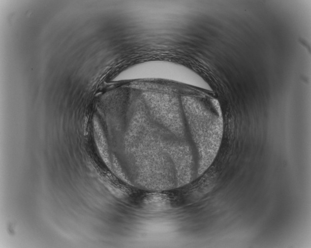X0000099570750200806131256