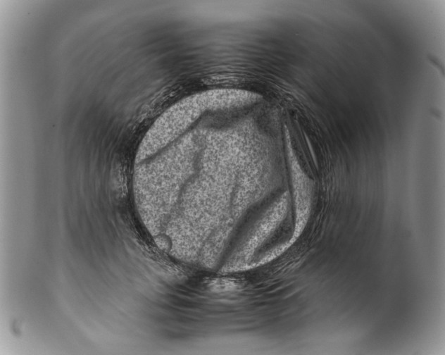 X0000099570751200806131256