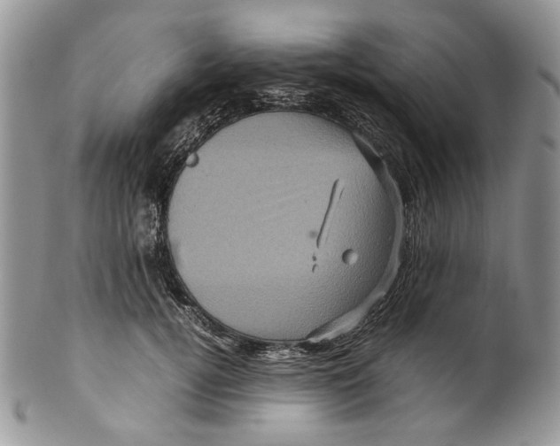 X0000099570752200806131256