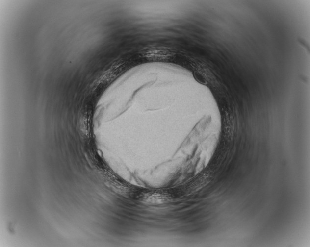 X0000099570755200806131256