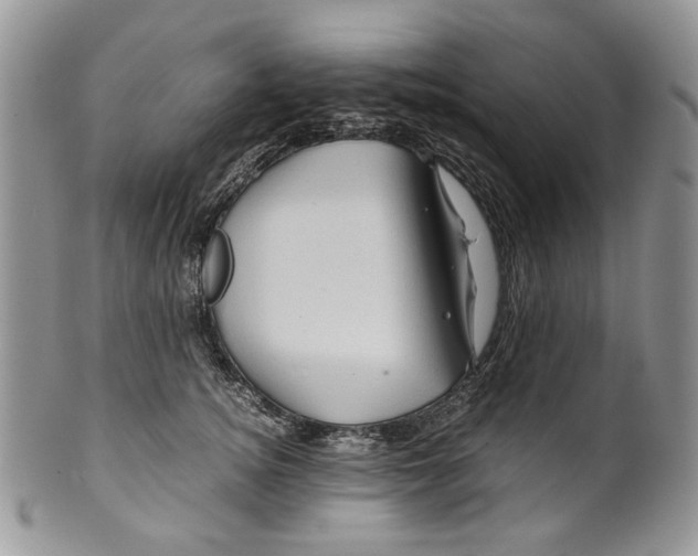 X0000099570756200806131256