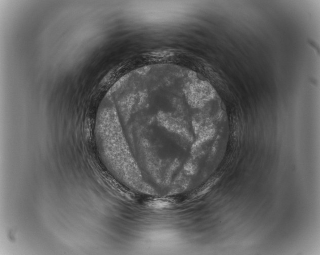 X0000099570758200806131256