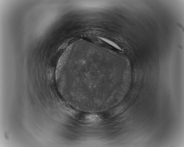 X0000099570759200806131256